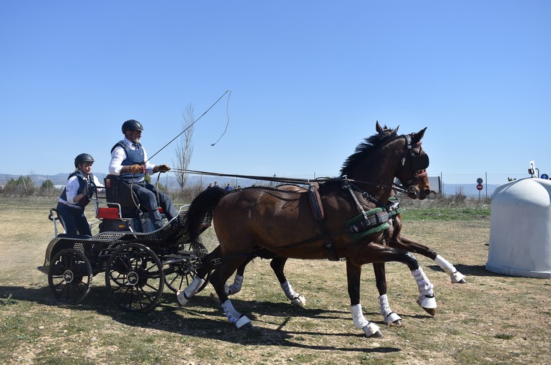 Emoción a las riendas